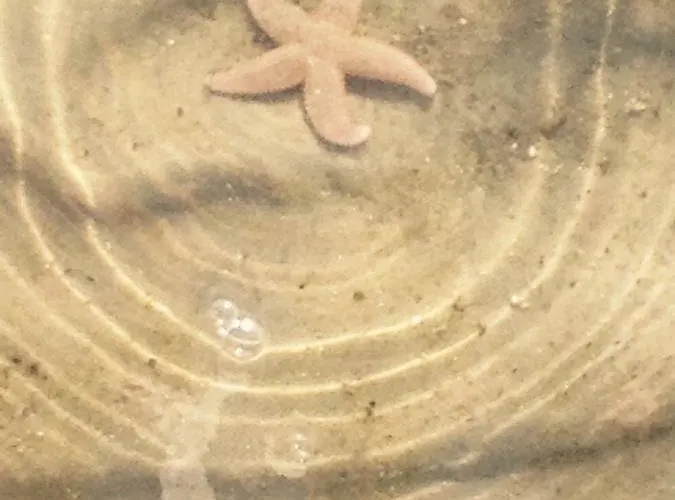 Hack's Hus Semesterbostad *